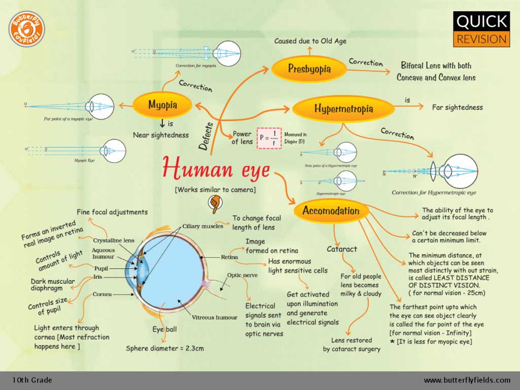 The Human Eye and the Colorful World | CBSE Grade 10 Science | Concept Map